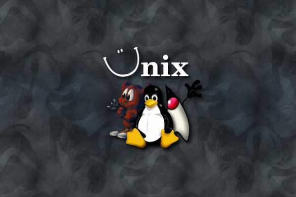 迷你版Linux，它是什么，以及为什么它值得关注？  第2张