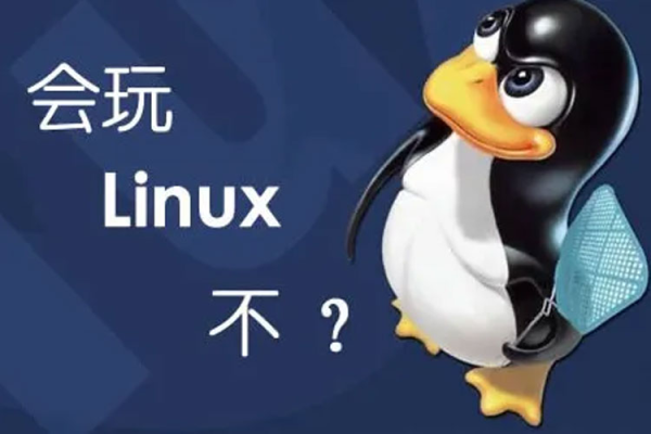 Linux学习高手集结，揭秘最牛教程的秘诀是什么？  第2张