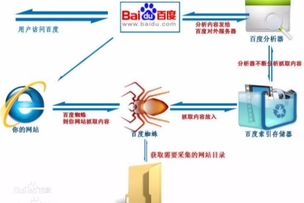 如何有效地吸引搜索引擎蜘蛛抓取新网站内容？