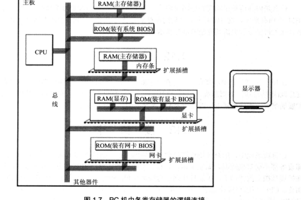 CPU与存储器之间的数据传输是读取还是写入操作？