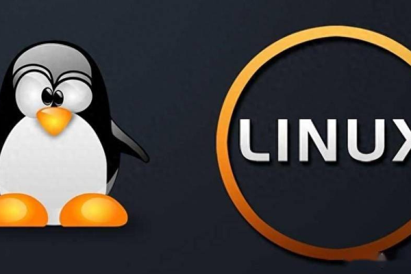 哪个Linux发行版被誉为最开放的系统？  第3张