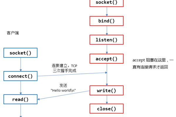 Accept函数在编程中扮演什么角色？  第3张