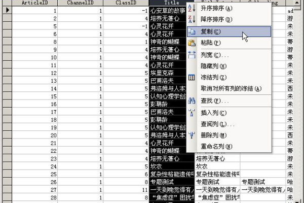 如何通过ASP读取Access数据库？详细步骤与技巧解析  第3张