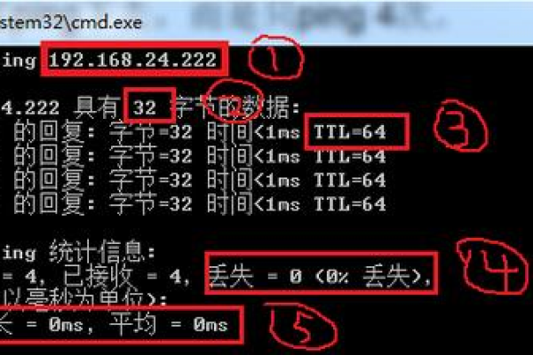 如何通过Ping命令检测域名的网络连通性？  第2张