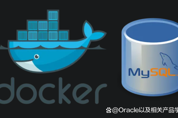 如何在Docker容器中运行MySQL命令进入数据库？