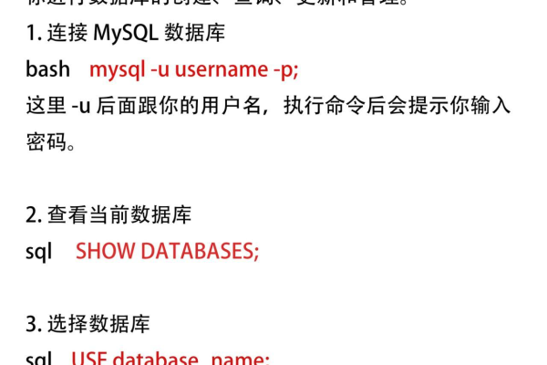 如何掌握MySQL数据库的基础教程要点？