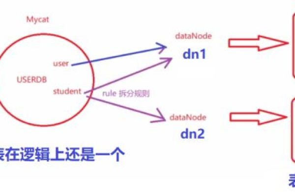 MySQL动态列，最新动态是什么？  第3张