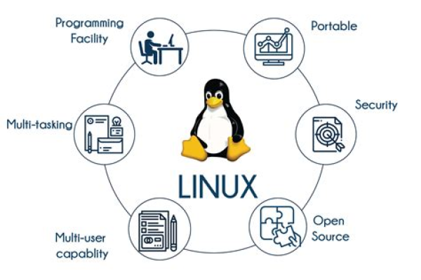 文山Linux培训班，掌握未来技能的必经之路？  第3张