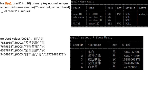 如何在MySQL数据库中添加图书及其属性信息？  第3张