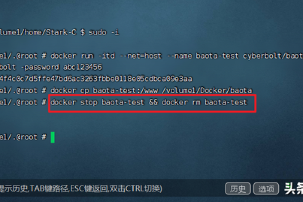 宝塔面板与Docker，哪个更适合您的网站部署？  第2张