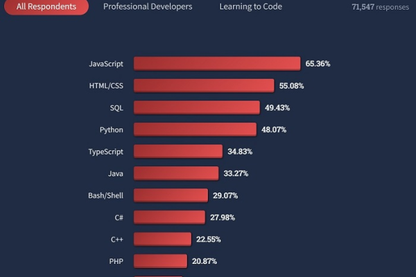 如何使用JavaScript代码来动态计算产品价格？