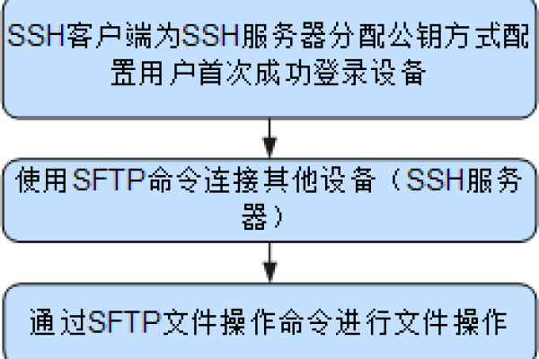 SFTP服务默认使用哪个端口进行文件传输？