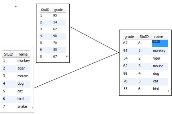 在MySQL中，如何正确使用赋值语句？