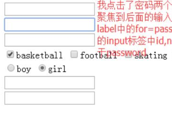 HTML 中的 label 标签如何提升表单的可用性与可访问性？