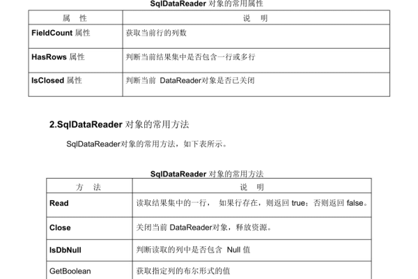 DataReader对象在编程中扮演着哪些关键角色？  第3张