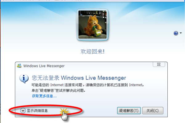 如何解决Windows系统中无法登录MSN邮箱的问题？