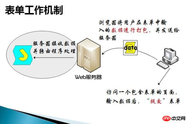 探索表单的多功能性，form元素在网页中扮演哪些关键角色？