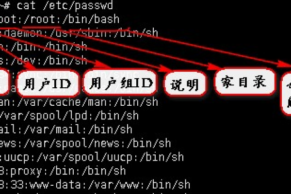 Linux系统中，etc/passwd文件的作用和重要性是什么？  第2张