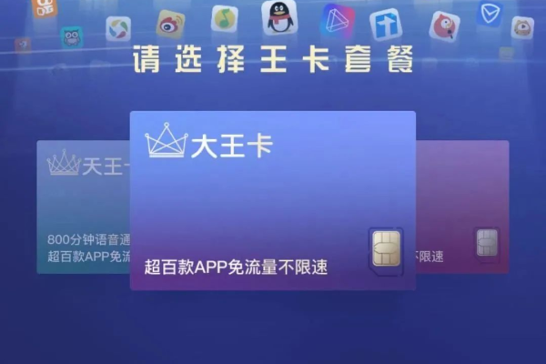 使用大王卡时，哪些应用或服务可以享受免流量优惠？