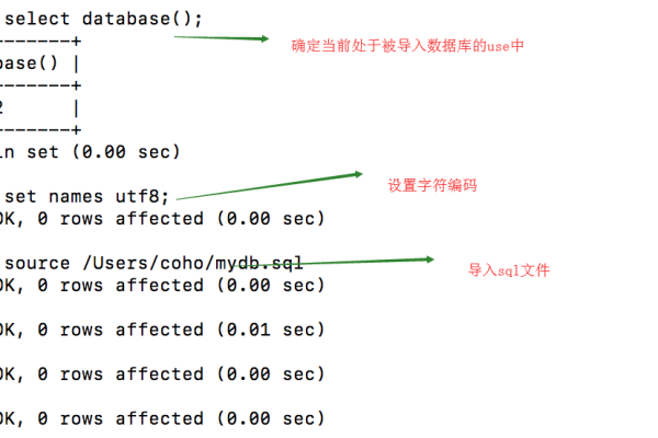 如何导入MySQL数据库备份？  第1张