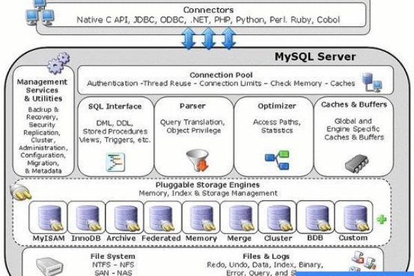 如何高效管理MySQL数据库和用户并执行查询与视图操作？