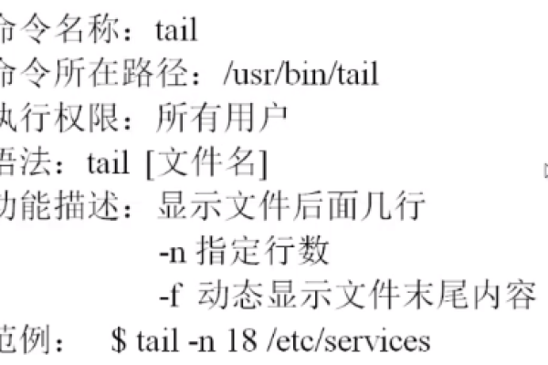 在Linux系统中，反斜杠（\）有什么特殊用途或含义？