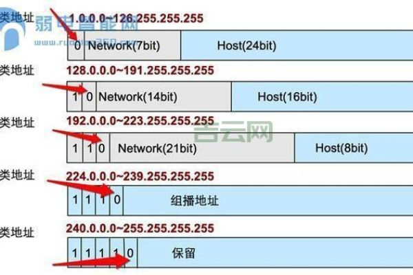 如何追踪IP地址以确定其关联的域名？