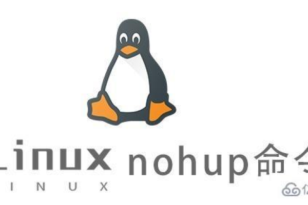 如何在Linux中使用nohup命令并查看其运行状态？  第3张