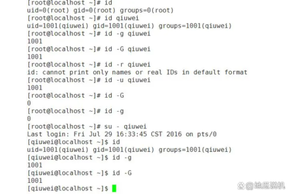 如何在Linux中使用pv命令进行操作？