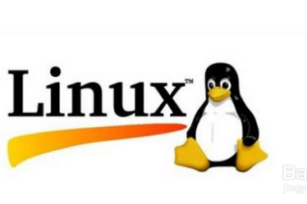 如何通过SSH连接Linux系统？  第2张