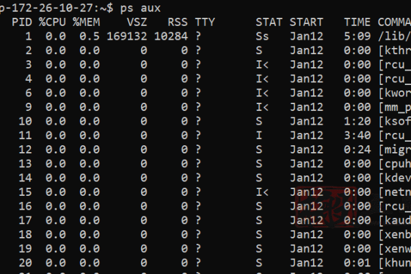 如何在Linux系统中查看当前运行的进程？