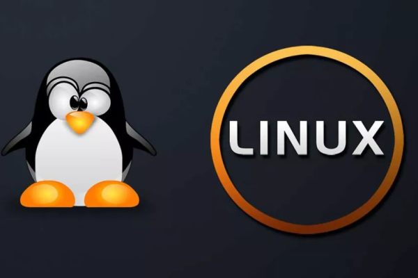 Linux 能做什么，探索这个开源操作系统的无限可能  第2张