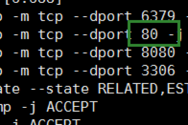 如何在Linux系统中使用命令开启端口？