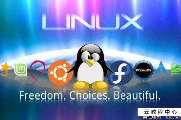 如何在Linux系统中安装DEB包？  第2张