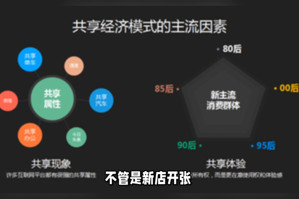 如何在共享门户模式下实现门户网站的盈利？