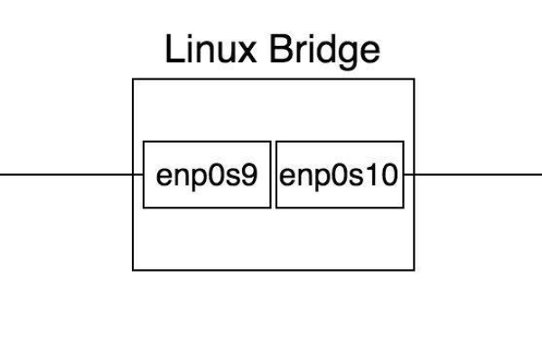 如何在Linux系统中实现桥接上网？  第1张