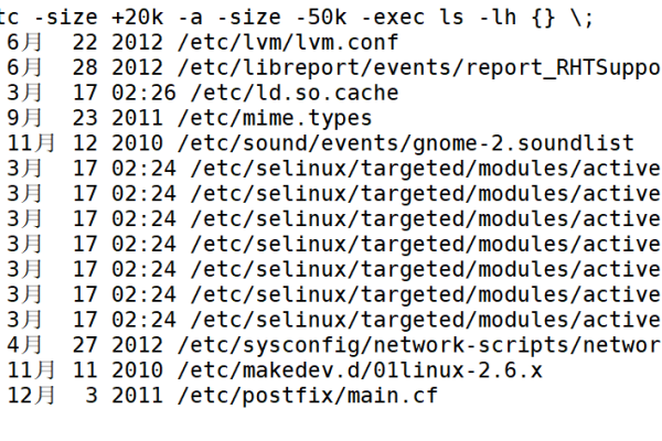 如何在Linux系统下高效地搜索文件？  第1张