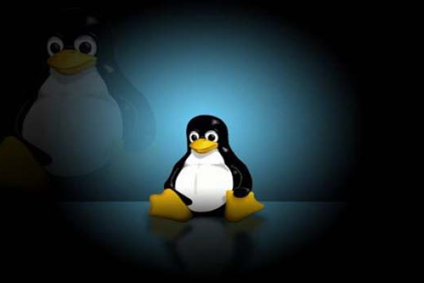 如何在 Linux 中使用管理员命令进行高效管理？  第3张