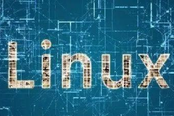 Linux Lint是什么？探索其在代码质量提升中的作用与应用