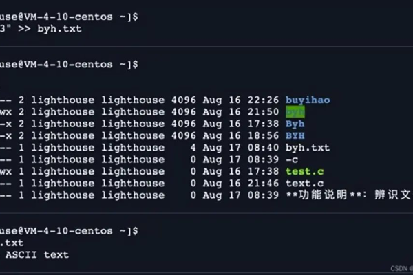 如何理解和运用Linux权限代码？