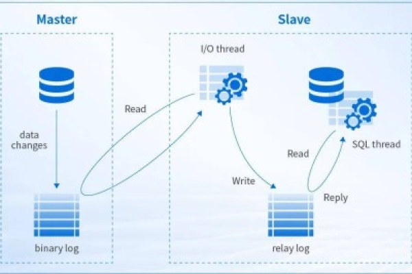 MySQL数据库，从本月更新到最新版本的迁移之旅有哪些挑战与机遇？