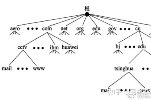 他人代为注册的域名，其所有权归属问题如何界定？