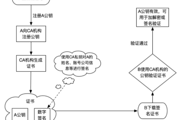 权威CA与自签名CA证书，自签名CA证书可能隐藏哪些潜在风险？