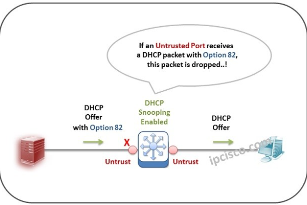 DHCP Option 82 如何提升网络定位与管理效率？  第2张