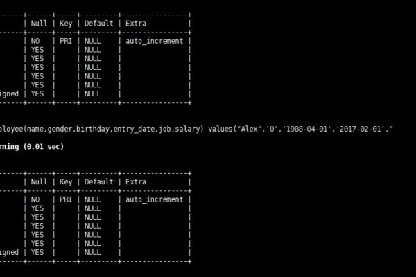 在MySQL初级数据库_初级入门中，有哪些关键知识点是新手必须掌握的？