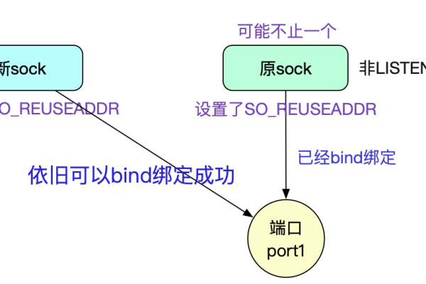 如何解决socket通信中bind函数返回的错误代码10049？