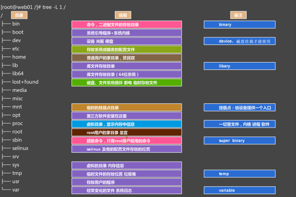 如何理解和管理Linux系统中的目录属性？  第2张