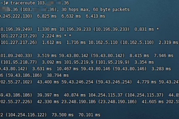 如何在Linux系统中使用命令来跟踪路由路径？  第2张