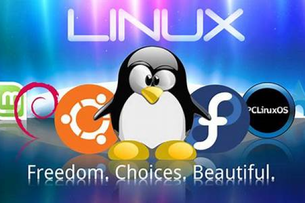 Linux应用实践，如何高效掌握并应用Linux系统？