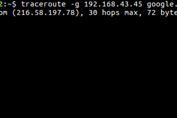 如何正确使用Linux中的traceroute命令？